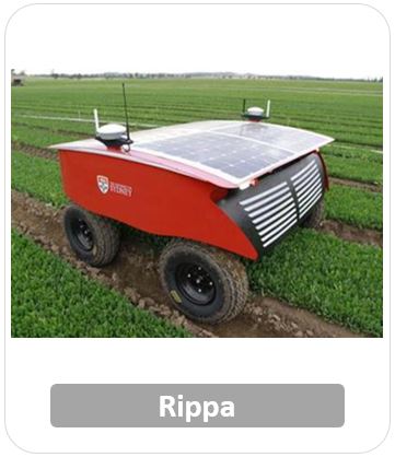 Rippa Agricultural Robots for Agricultural Applications and Operations        